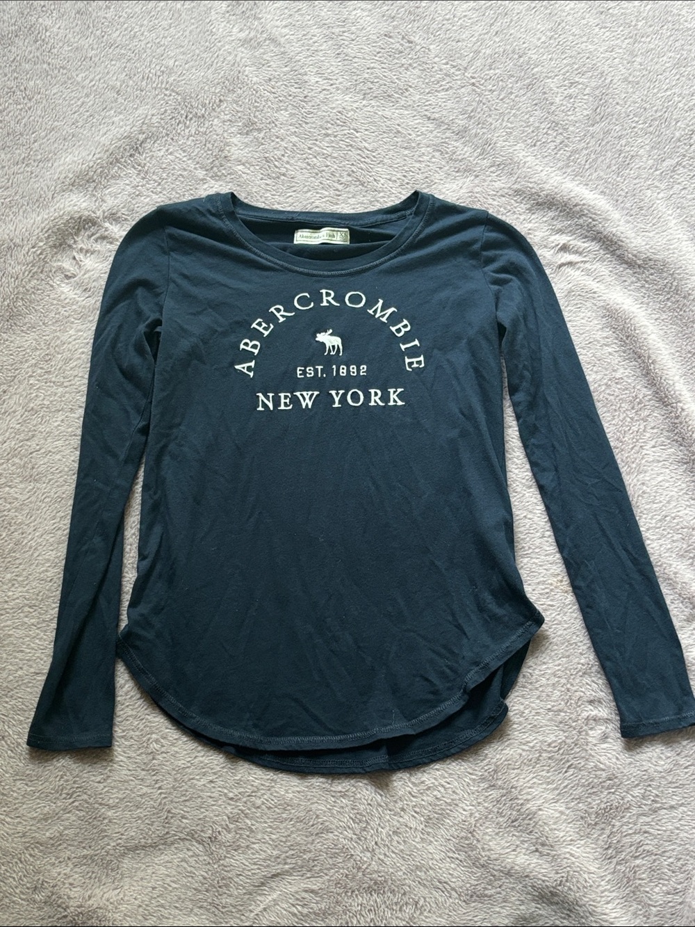 Abercrombie & Fitch Navy Logo Crewneck Tee